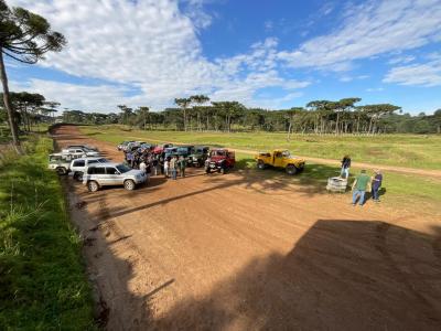 Carros preparados para a largada de Le Mans!